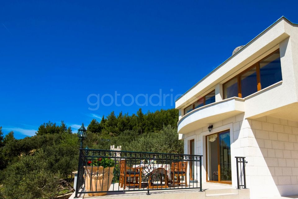 Luxury Villa Olive