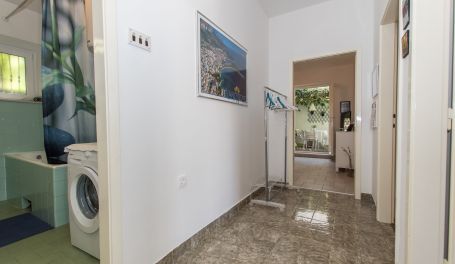 Apartman u centru Clea 