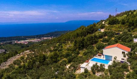 Luxury Villa Olive