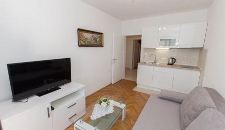 Apartman Rose VIII 