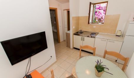 Apartman u centru Tonka V 